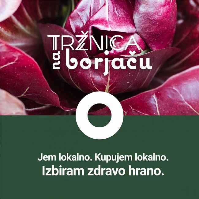 05_Trzbica_na_borjacu